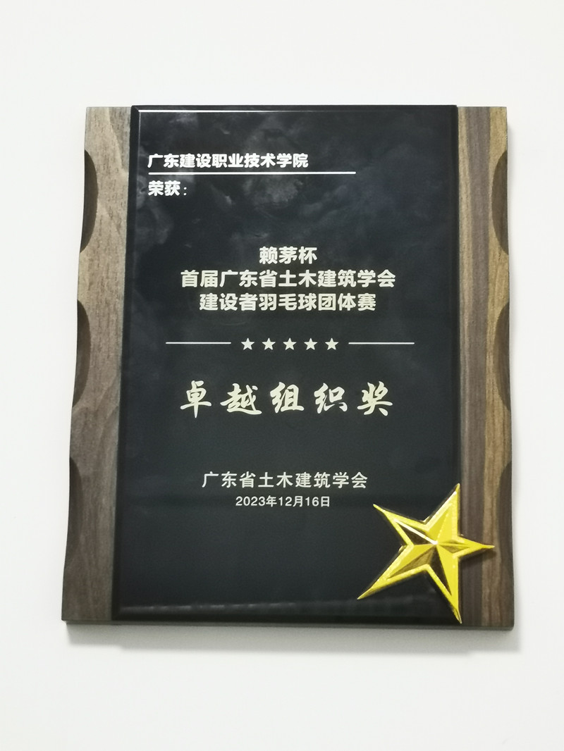 问鼎网中国代表队荣获卓越组织奖.jpg